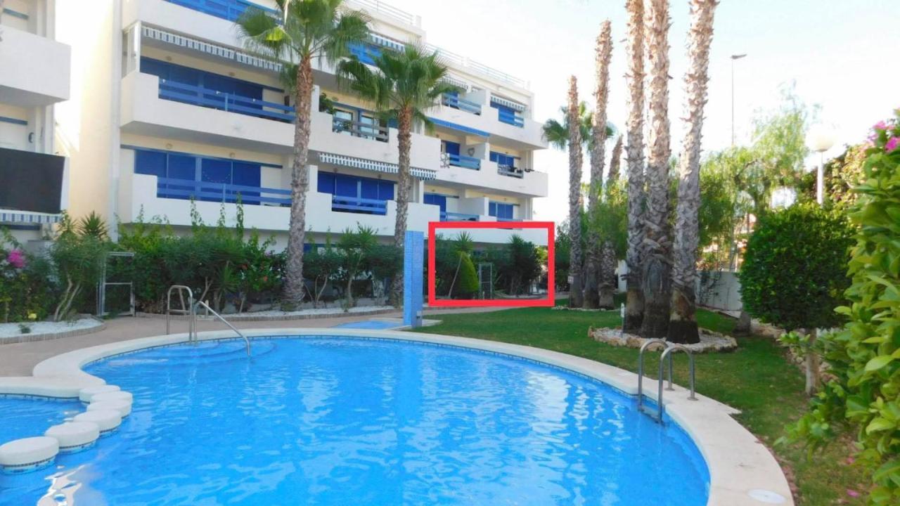 Coral House - La Calma - Playa Flamenca - Big Terrace & 4 Swimming Pools. Apartment ภายนอก รูปภาพ